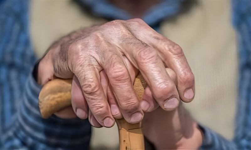 في يومهم العالمي، أهمية الوعي بحقوق المسنين واحتياجاتهم