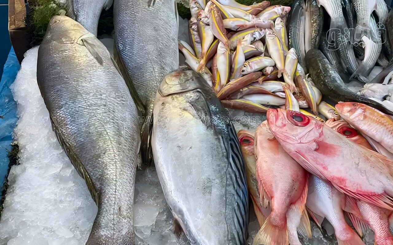 أسعار الأسماك اليوم، انخفاض البلطي والبوري وارتفاع قشر البياض والجمبري 25 جنيها