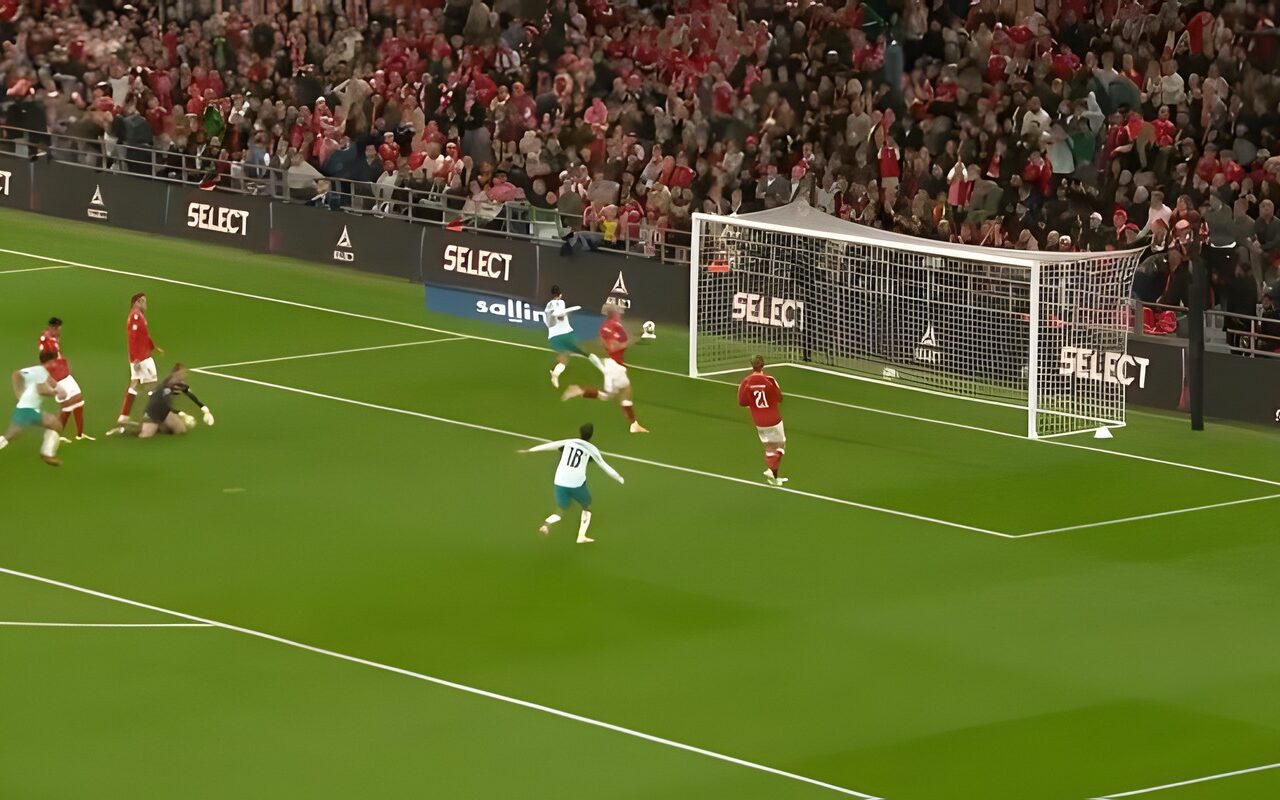 في غياب رونالدو.. منتخب البرتغال يفوز على الدنمارك برباعية بدوري الأمم الأوروبية
