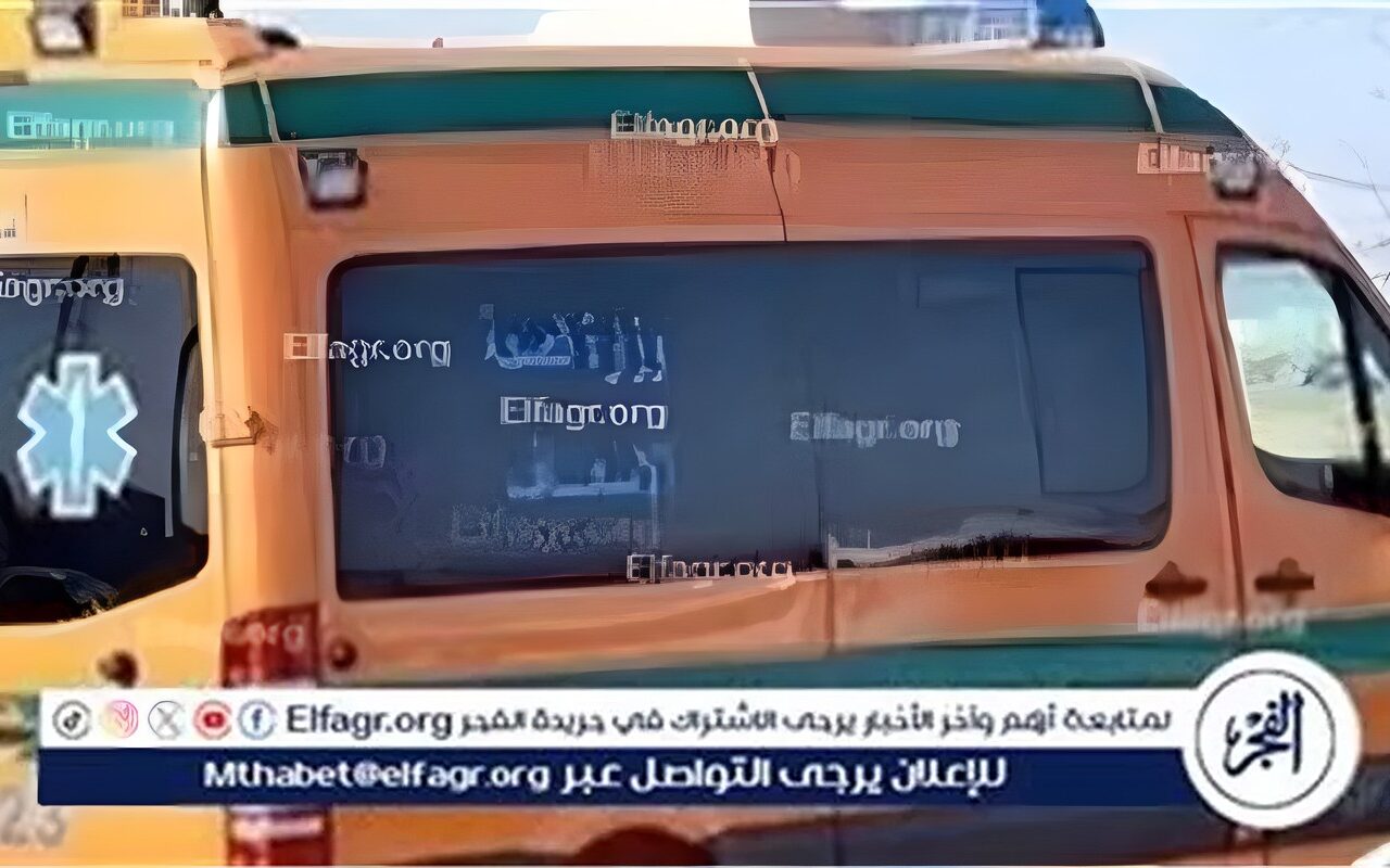مصرع أب وابنته وإصابة 9 آخرين في تصادم ميكروباص ونقل بالمنيا