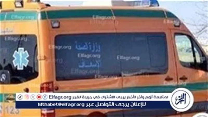 مصرع أب وابنته وإصابة 9 آخرين في تصادم ميكروباص ونقل بالمنيا