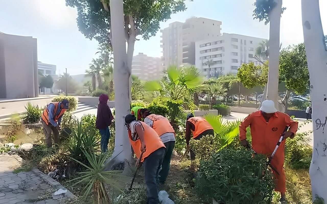 الإسماعيلية تتزين، حملة تجميل كبرى استعدادا لمهرجان الفنون الشعبية الدولي