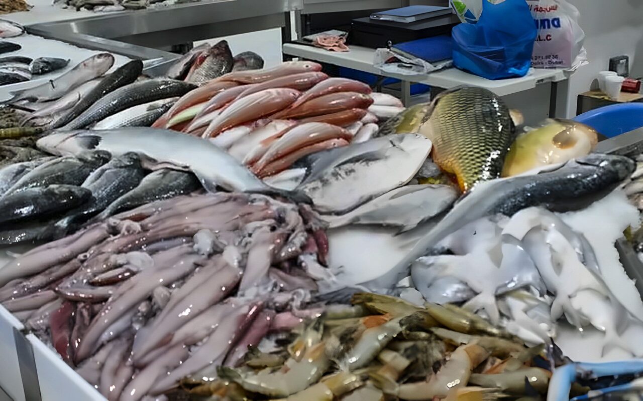 أسعار الأسماك اليوم، انخفاض 4 أصناف منها البلطي والبوري والجمبري يسجل 1200 جنيه