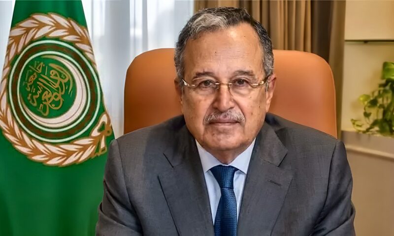 نبيل فهمي يؤكد دعم جامعة الدول العربية للمملكة العربية السعودية في مواجهة الاعتداءات الحوثية ويحذر من خطورة التصعيد