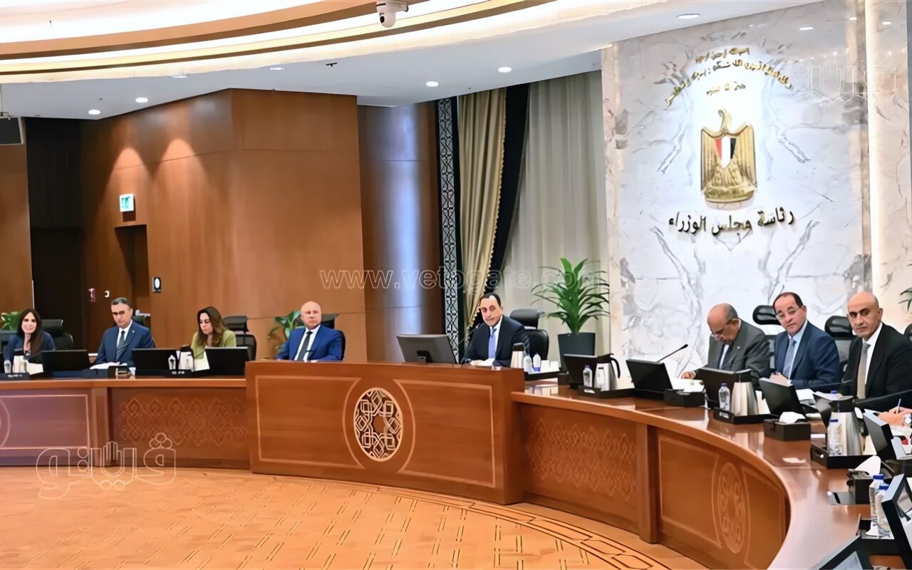 الحكومة تفتح الباب للقطاع الخاص، شراكة بمليارات الجنيهات في المياه والكهرباء والتموين