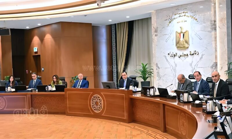 الحكومة تفتح الباب للقطاع الخاص، شراكة بمليارات الجنيهات في المياه والكهرباء والتموين