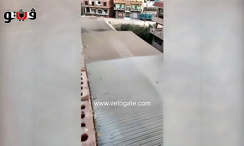 سكان “السنطة البلد” بالغربية يطالبون بالتدخل العاجل لرفع ضرر مصنع زبيب بالكتلة السكنية (فيديو)