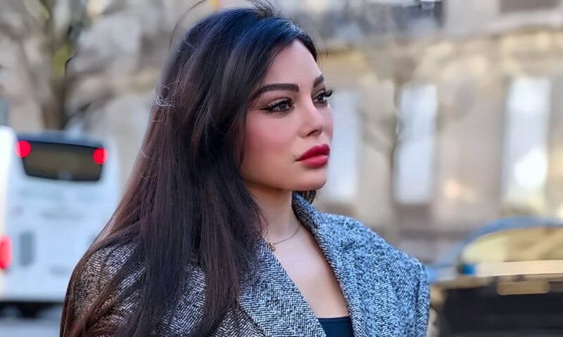 مدير أعمال هيفاء وهبي السابق.. السجن 3 سنوات لمحمد وزيري وغرامة 19 مليون جنيه ومصادرة ممتلكاته