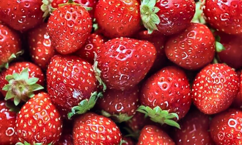ماذا يحدث للجسم عند تناول الفراولة؟.. 6 فوائد غير متوقعة