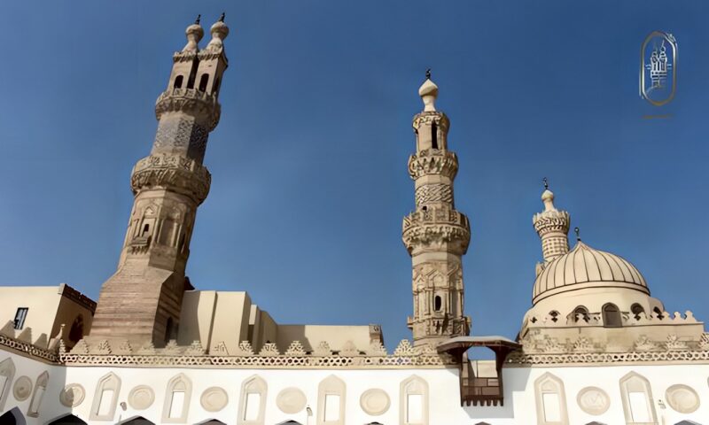 هل مثل «اتق شر من أحسنت إليه» صحيح شرعا؟.. عضو الفتوى بالأزهر يوضح