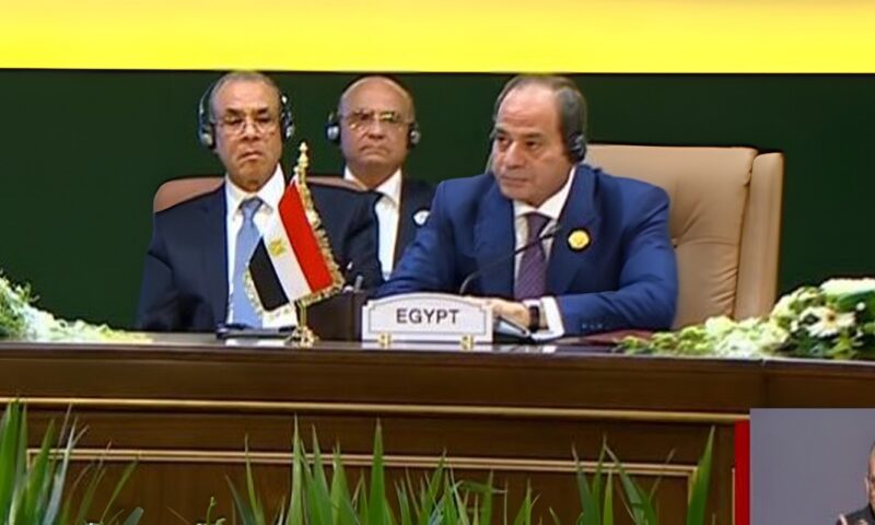 الرئيس السيسي: نعتز بما تحقق خلال فترة رئاسة مصر للجنة «نيباد»