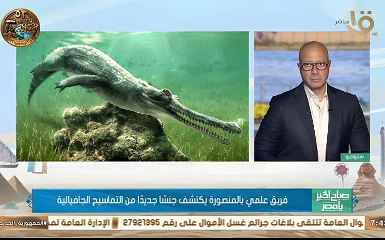 اكتشاف حفري لجنس جديد من التماسيح يعود إلى 45 مليون سنة في مصر