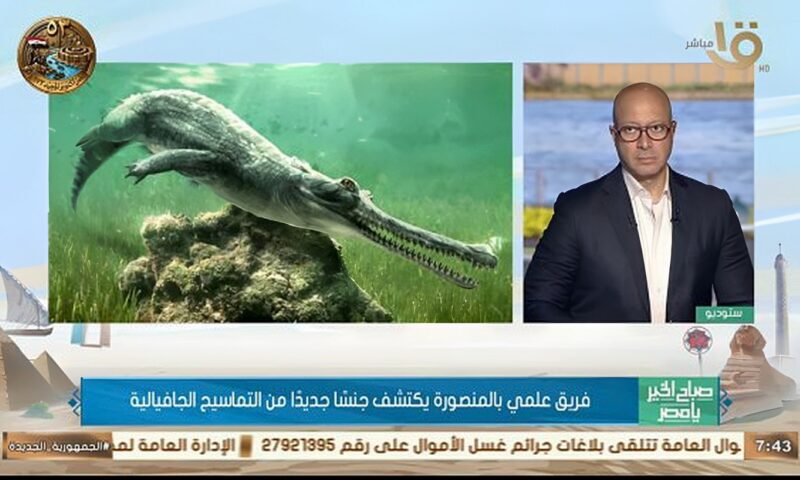 اكتشاف حفري لجنس جديد من التماسيح يعود إلى 45 مليون سنة في مصر