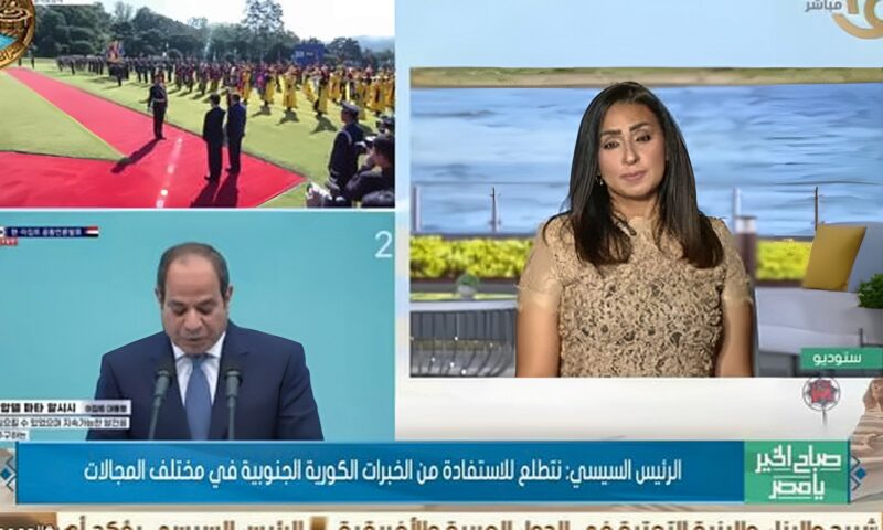 الشوادفي: زيارة الرئيس إلى كوريا تفتح الباب للاستفادة من تجارب الدول الآسيوية في التنمية