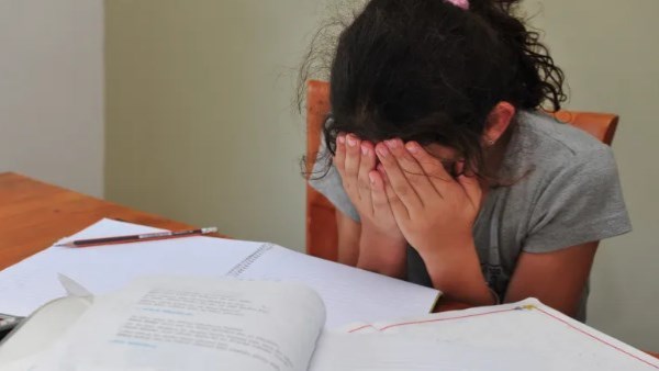 مناهج الابتدائي صعبة لدرجة أن الأسرة تحتاج إلى «دكتورة» لمساعدة الأطفال.. نائبة تفجر مفاجأة