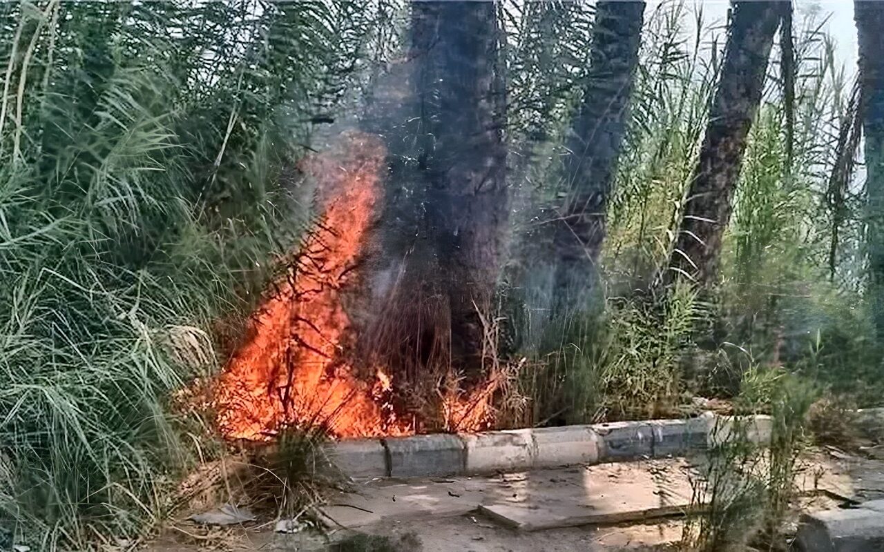 السيطرة على حريق بالطريق الزراعي في مغاغة بالمنيا