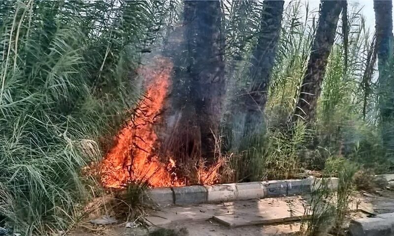 السيطرة على حريق بالطريق الزراعي في مغاغة بالمنيا