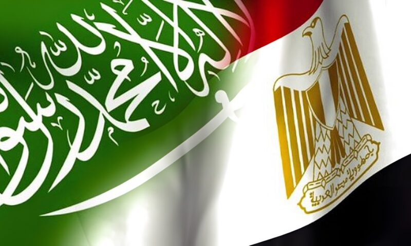 تعاون مالي جديد بين مصر والسعودية.. اتفاق مرتقب لتعزيز الرقابة على المؤسسات المالية
