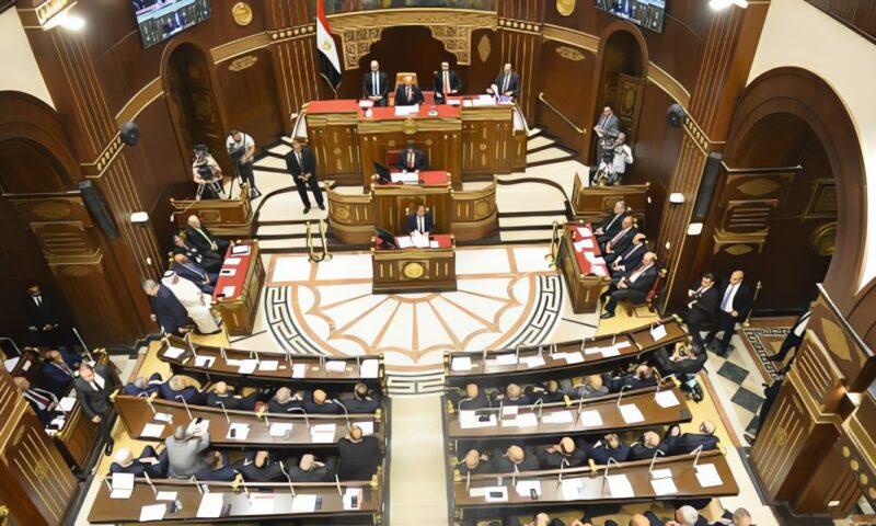 بسمة هنداوي تستعرض رؤيتها لتعزيز الاقتصاد الوطني خلال جلسة  الشيوخ