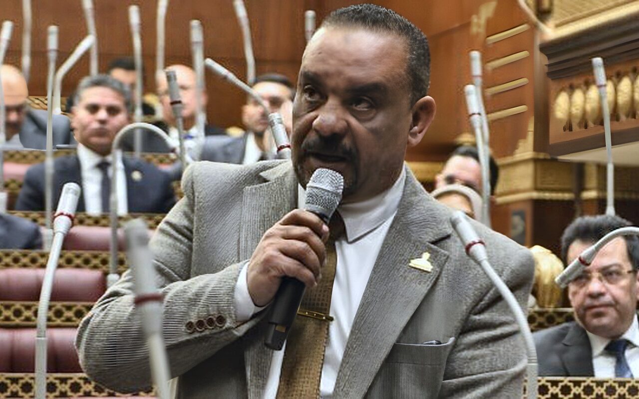 برلماني: «العلمين–أفريقيا للأعمال» يعيد صياغة أدوات التعاون الاقتصادي بين مصر والقارة السمراء