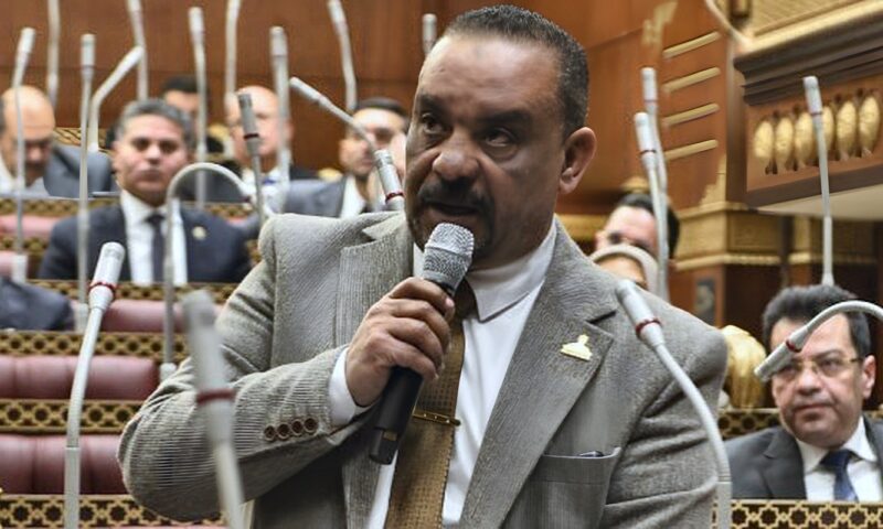 برلماني: «العلمين–أفريقيا للأعمال» يعيد صياغة أدوات التعاون الاقتصادي بين مصر والقارة السمراء
