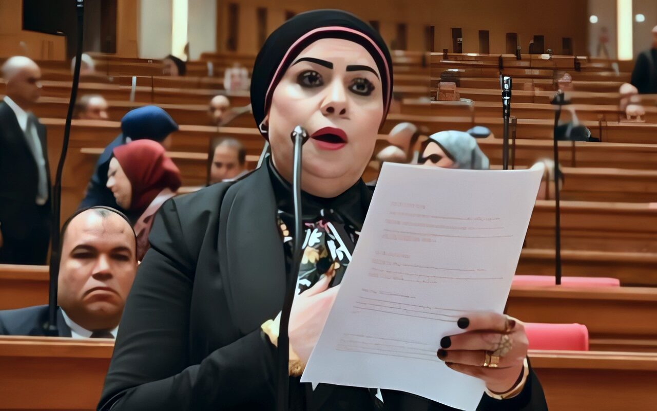 جيهان شاهين: منتدى مصر 2026 يعزز الحوار حول أولويات المواطن