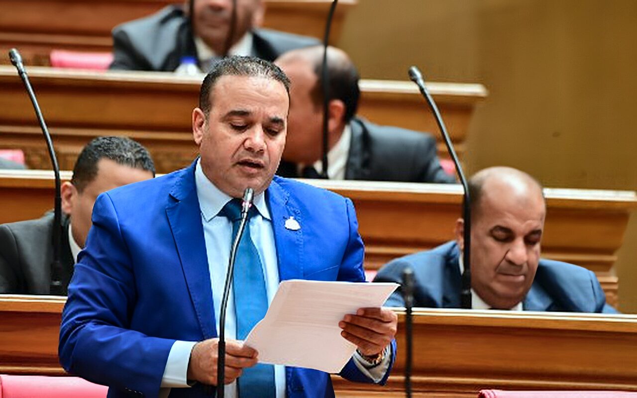 برلماني: انتشار الكلاب الضالة في الشوارع ظاهرة تستلزم تحرك جاد