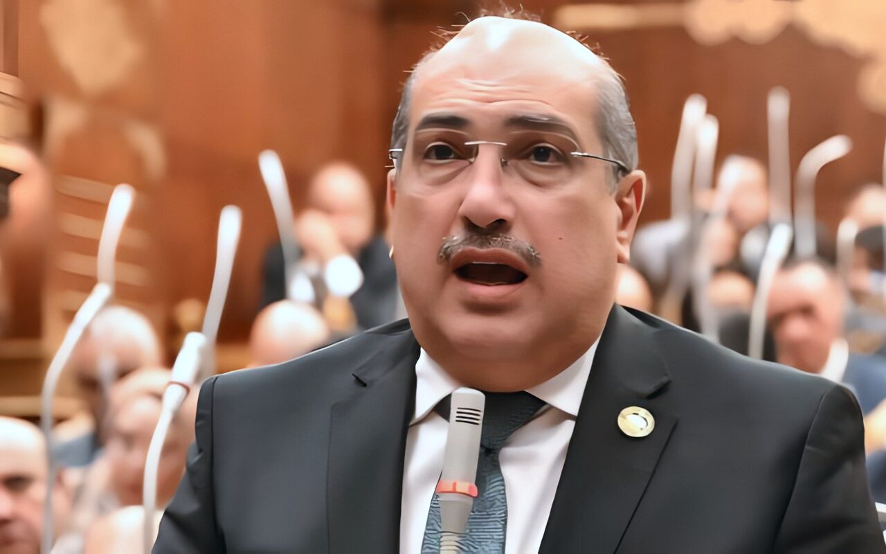 نائب يوجه عدة أسئلة لوزير التخطيط  خلال مناقشة طلب حول دور بنك الاستثمار القومي في تعزيز الشراكة مع القطاع الخاص