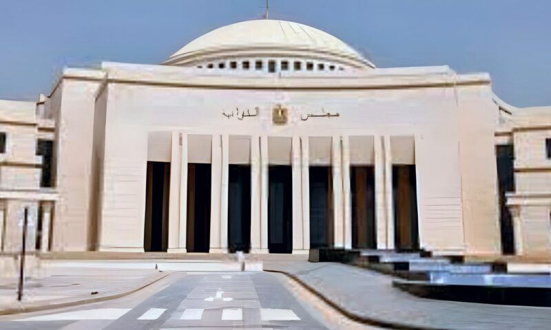 تحرك برلماني لإطلاق استراتيجية استثنائية لجذب ملايين السياح الأفارقة إلى مصر