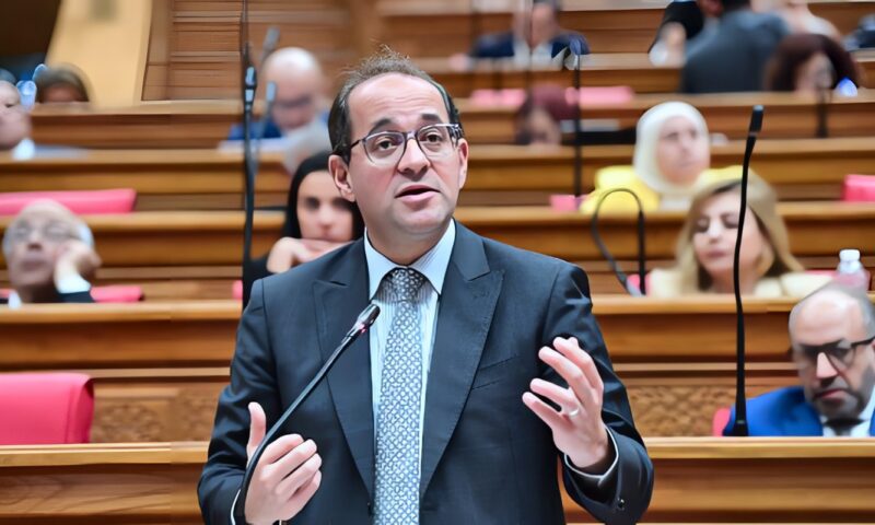 وزير المالية يعرض مخطط رفع مستويات الحيز المالي لـ4.8 تريليون جنيه في عام 2030/2029