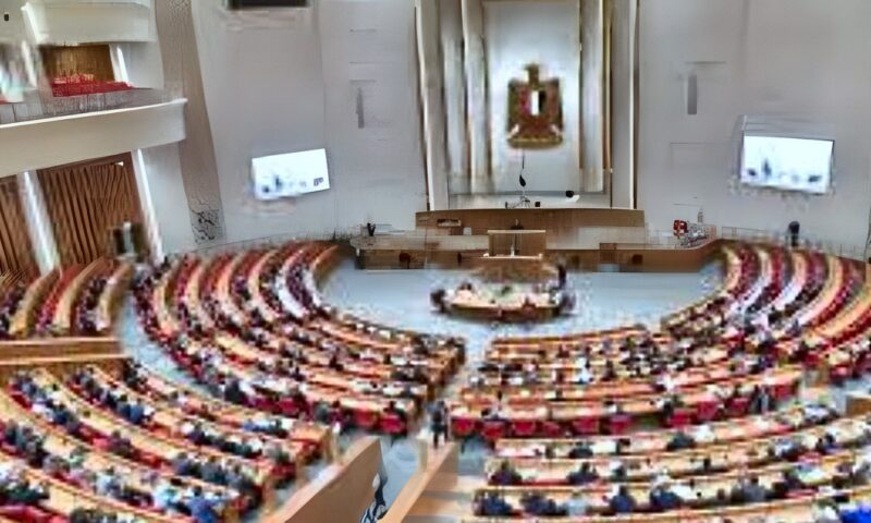 بعد تصريحات التخطيط.. روشتة برلمانية لبناء اقتصاد قوي ومسىتدام