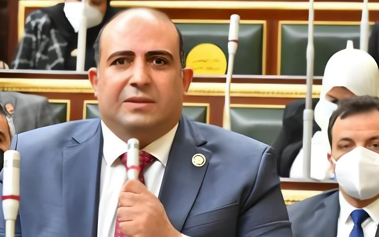 النواب: استقرار القرن الإفريقي ضرورة لحماية الأمن القومي المصري