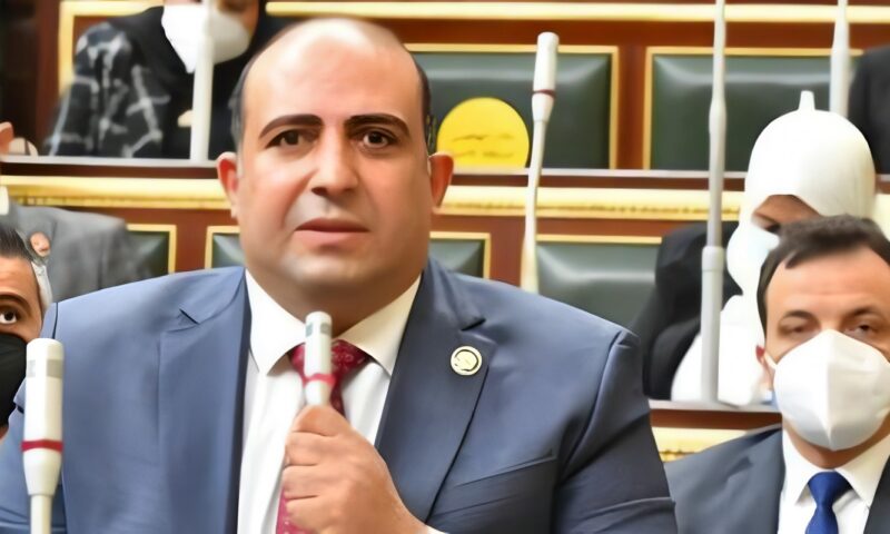 النواب: استقرار القرن الإفريقي ضرورة لحماية الأمن القومي المصري