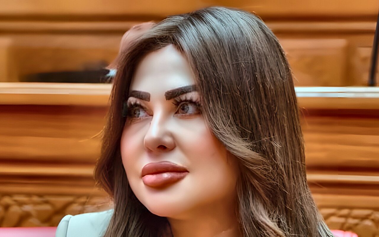 النائبة ولاء الصبان: رسائل الرئيس في ذكرى أكتوبر تربط بين حماية الوطن ومواصلة مسيرة البناء