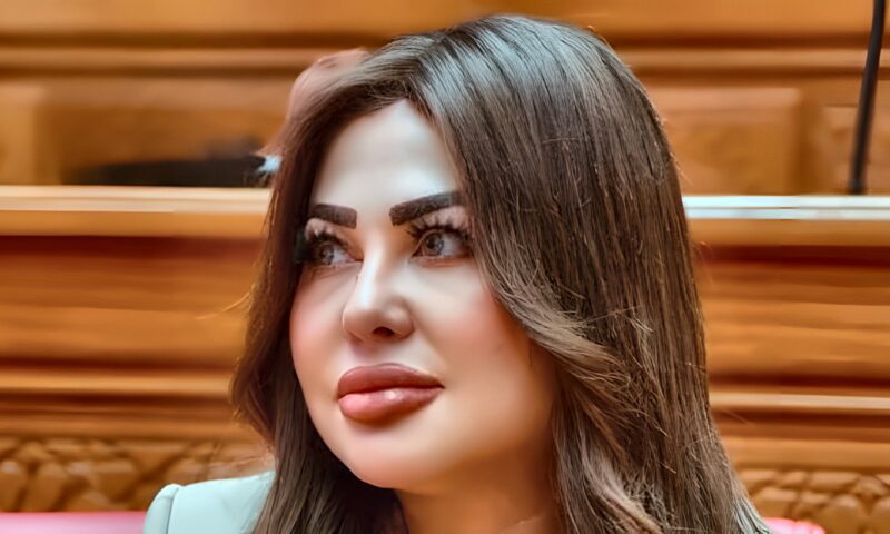 النائبة ولاء الصبان: رسائل الرئيس في ذكرى أكتوبر تربط بين حماية الوطن ومواصلة مسيرة البناء