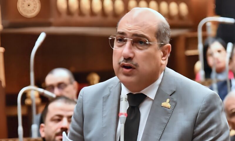 إيهاب وهبة رئيسًا للهيئة البرلمانية لحزب الشعب الجمهوري بالشيوخ وكريم سالم نائبًا