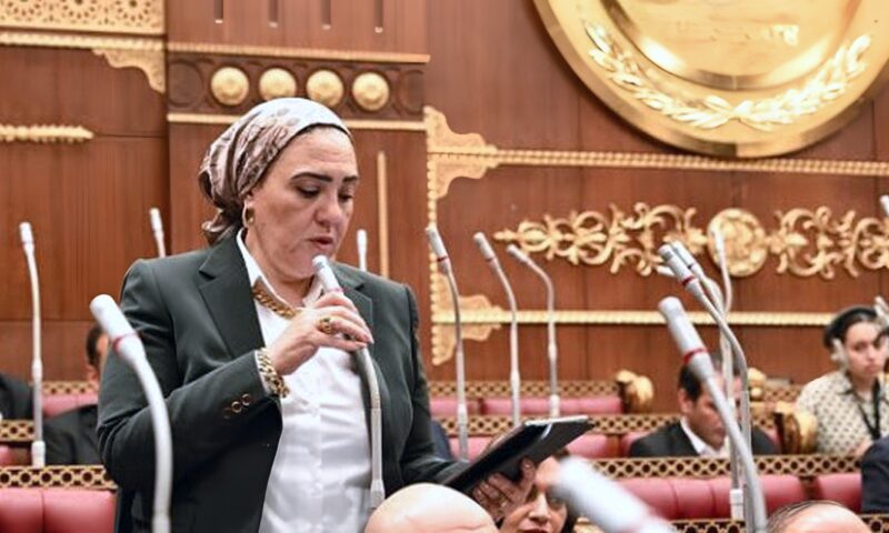 داليا الأتربي عضوًا بلجنة التعليم والبحث العلمي بالشيوخ