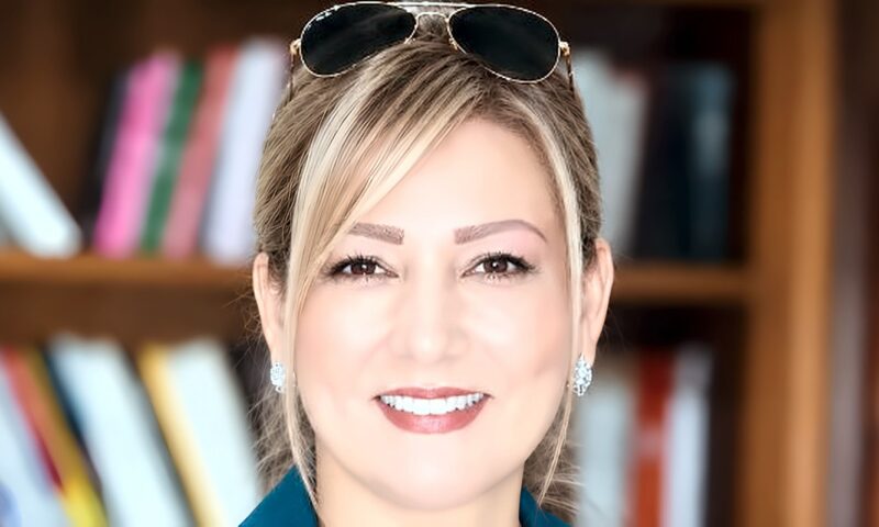 جيهان جادو تتقدم بمقترح إلى الرئيس السيسي لإنشاء منصة رقمية وطنية للمصريات بالخارج