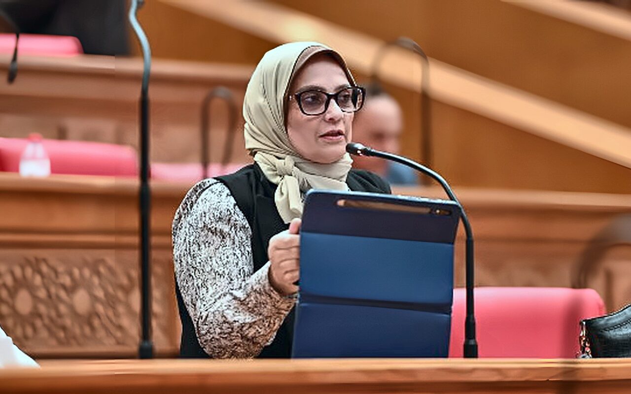 برلمانية: توطين الصناعة ونقل التكنولوجيا بوابة مصر لتعزيز تنافسيتها في الأسواق الأفريقية