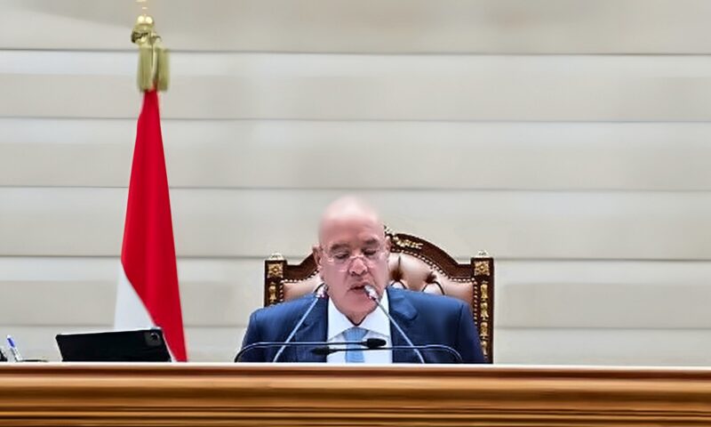 رئيس مجلس النواب ينعي النائبة أماني أبو سحلى