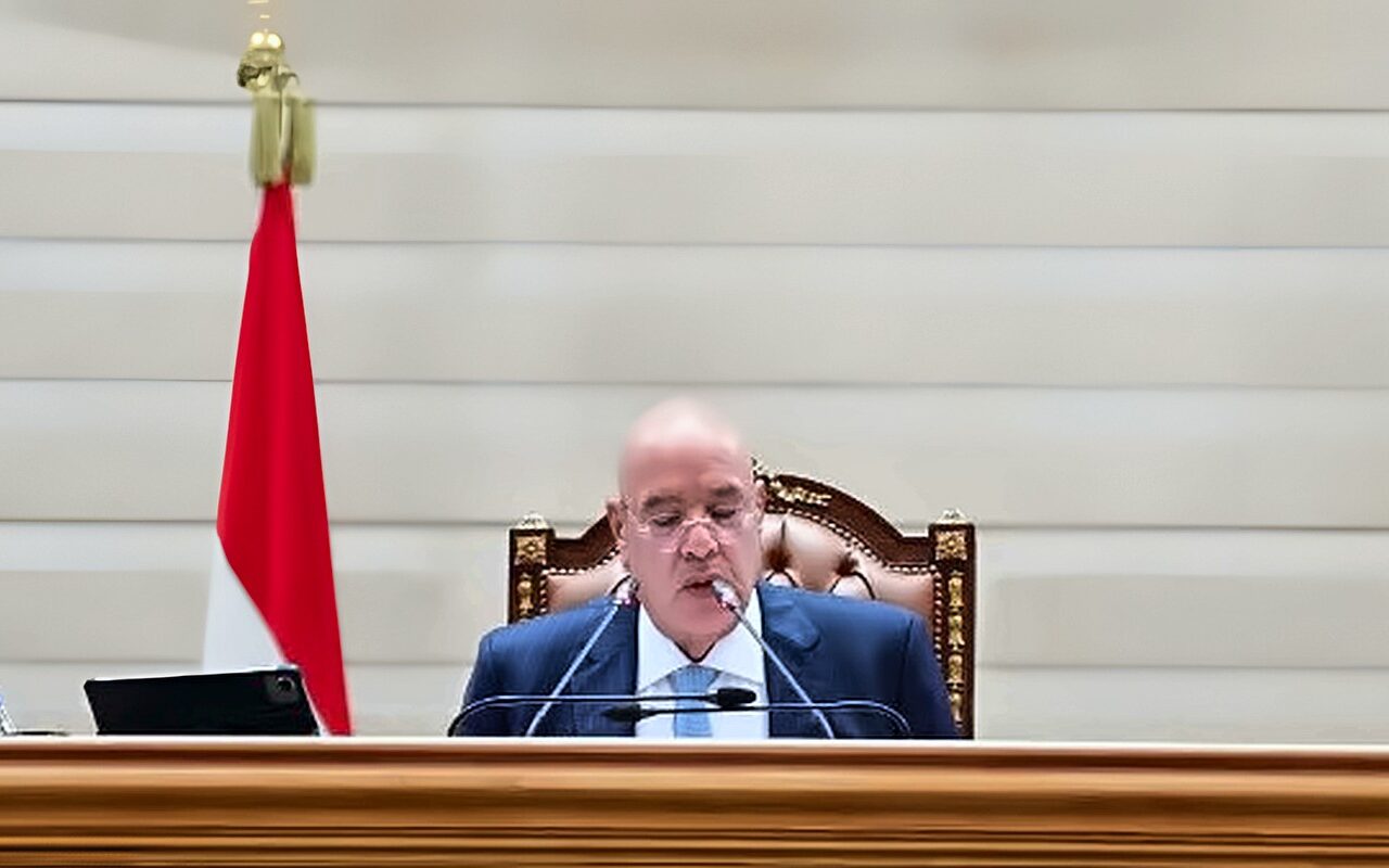 النواب يعتمد تشكيل اللجان النوعية.. هشام بدوي: لم نتلقَ اعتراضات وندعو لانتخاب هيئات المكاتب
