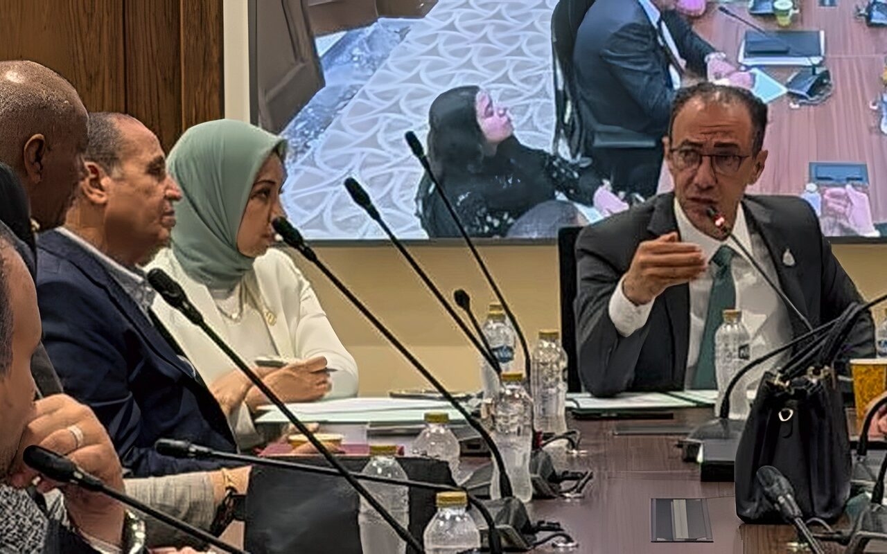 ضبط المنظومة الصحية.. صحة النواب تضع الدواء والتكليف تحت المجهر