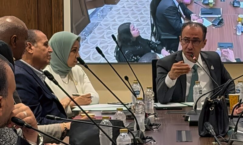 ضبط المنظومة الصحية.. صحة النواب تضع الدواء والتكليف تحت المجهر