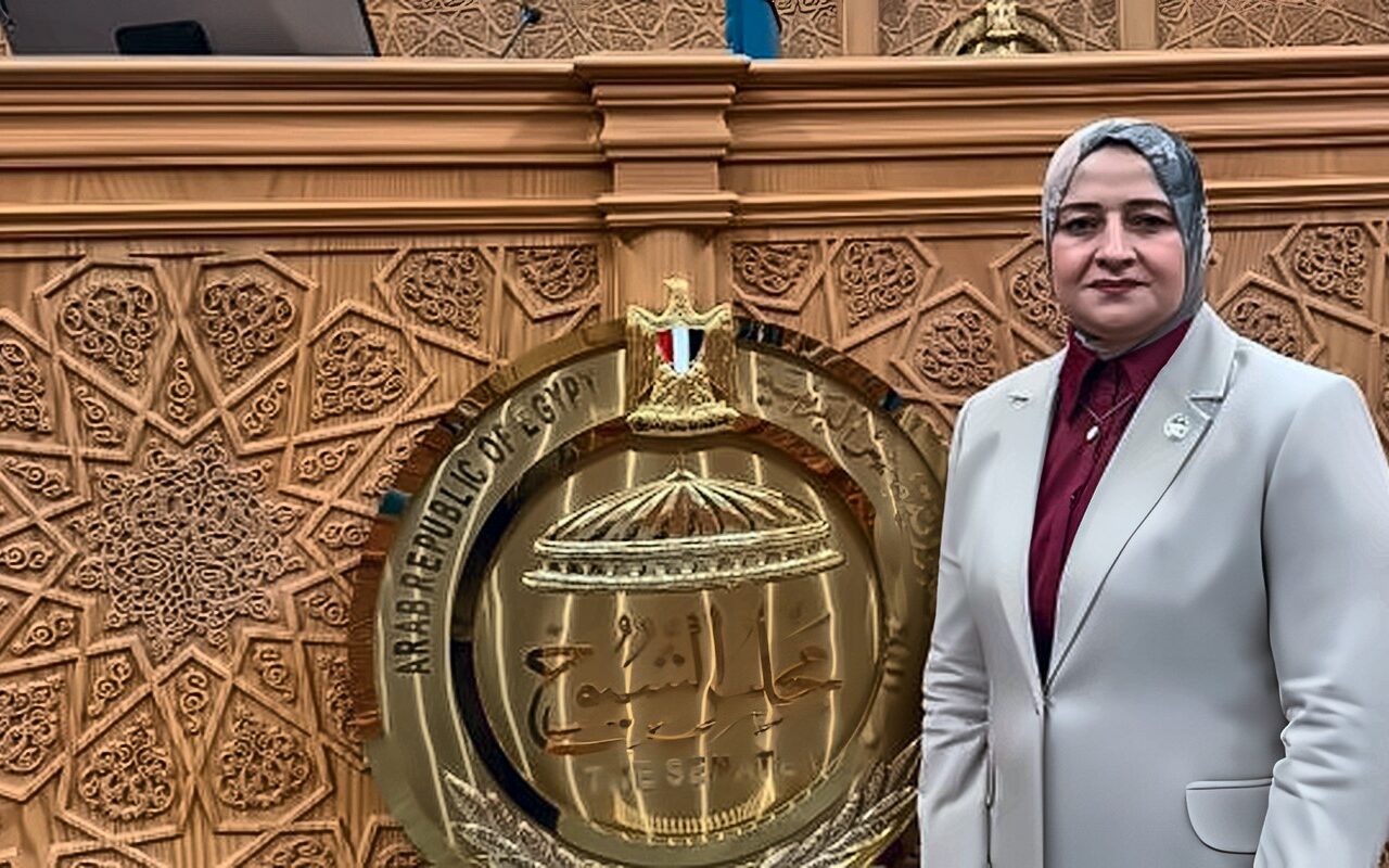 برلماني: أجندة تشريعية متكاملة لتعزيز أمن الطاقة ودعم الصناعة وتحسين بيئة العمل