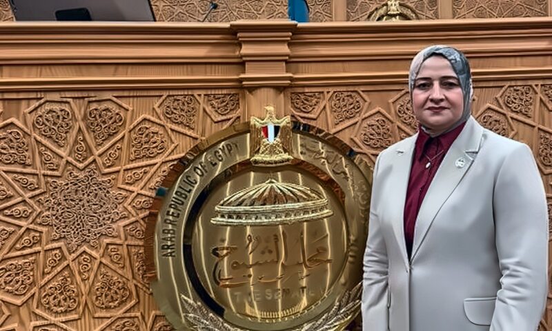 برلماني: أجندة تشريعية متكاملة لتعزيز أمن الطاقة ودعم الصناعة وتحسين بيئة العمل