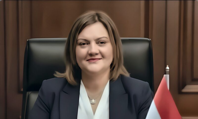 ماريان شحاتة: شراكة مصر وكوريا تفتح بوابة جديدة للتعاون