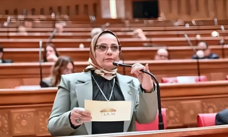 نجلاء العسيلي: جولة السيسي الآسيوية تفتح أبوابًا جديدة للاقتصاد المصري