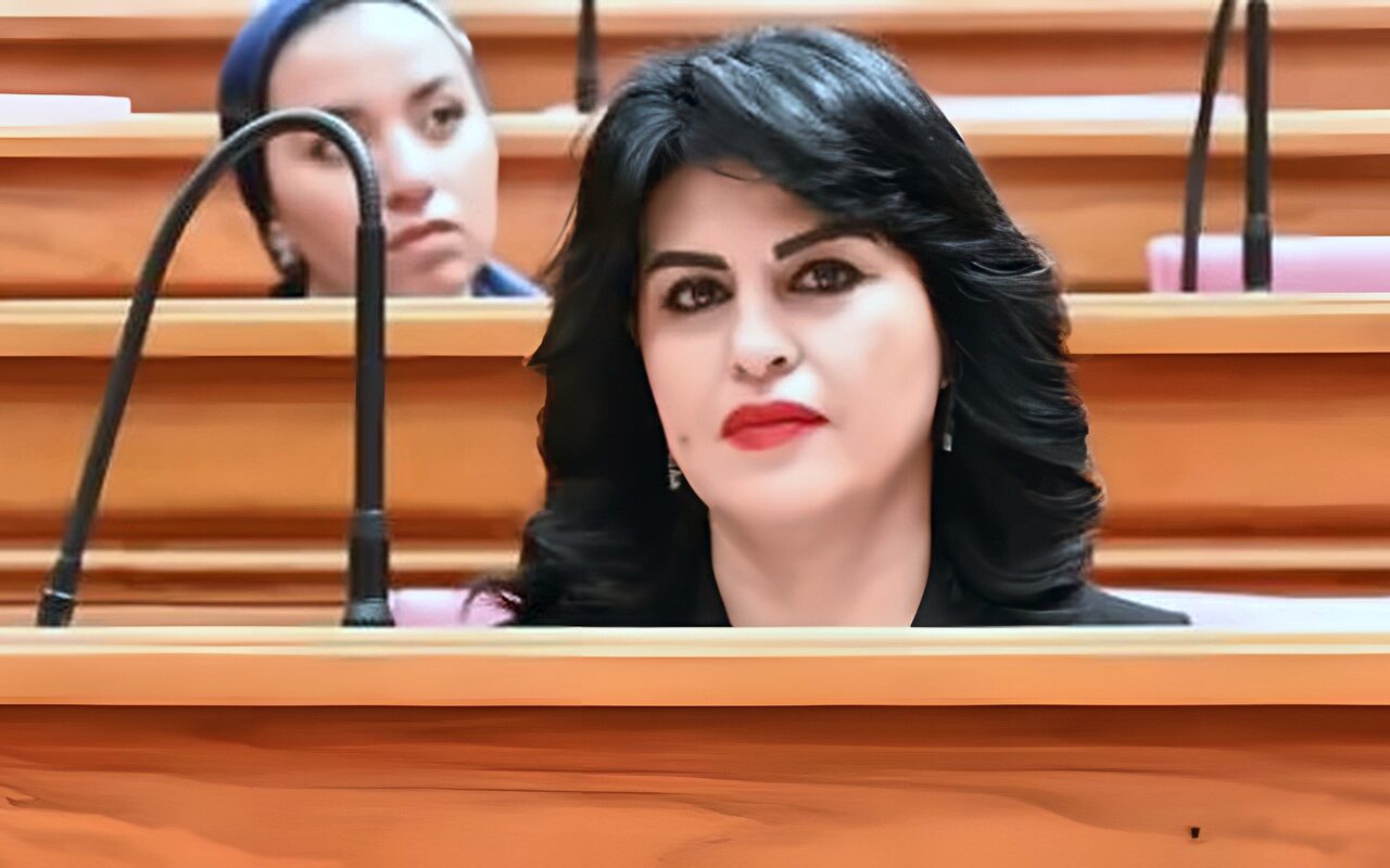 برلمانية: جولة الرئيس السيسي الآسيوية تفتح أبواب الاستثمار وتدعم نفاذ المنتجات المصرية