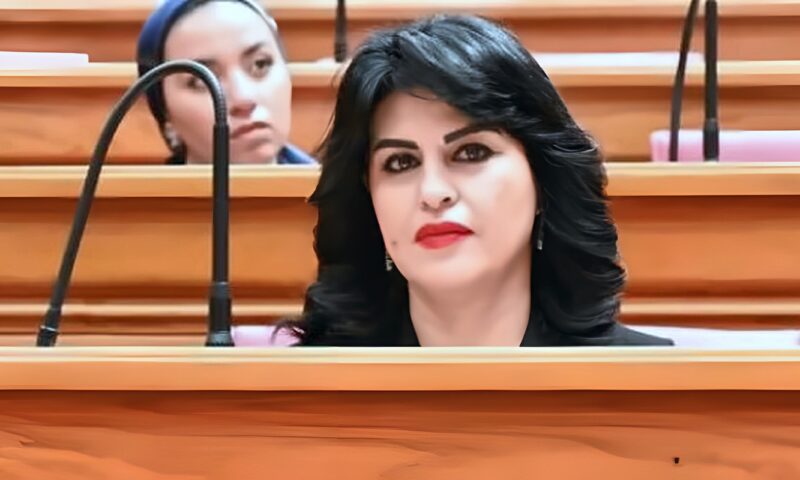 برلمانية: جولة الرئيس السيسي الآسيوية تفتح أبواب الاستثمار وتدعم نفاذ المنتجات المصرية