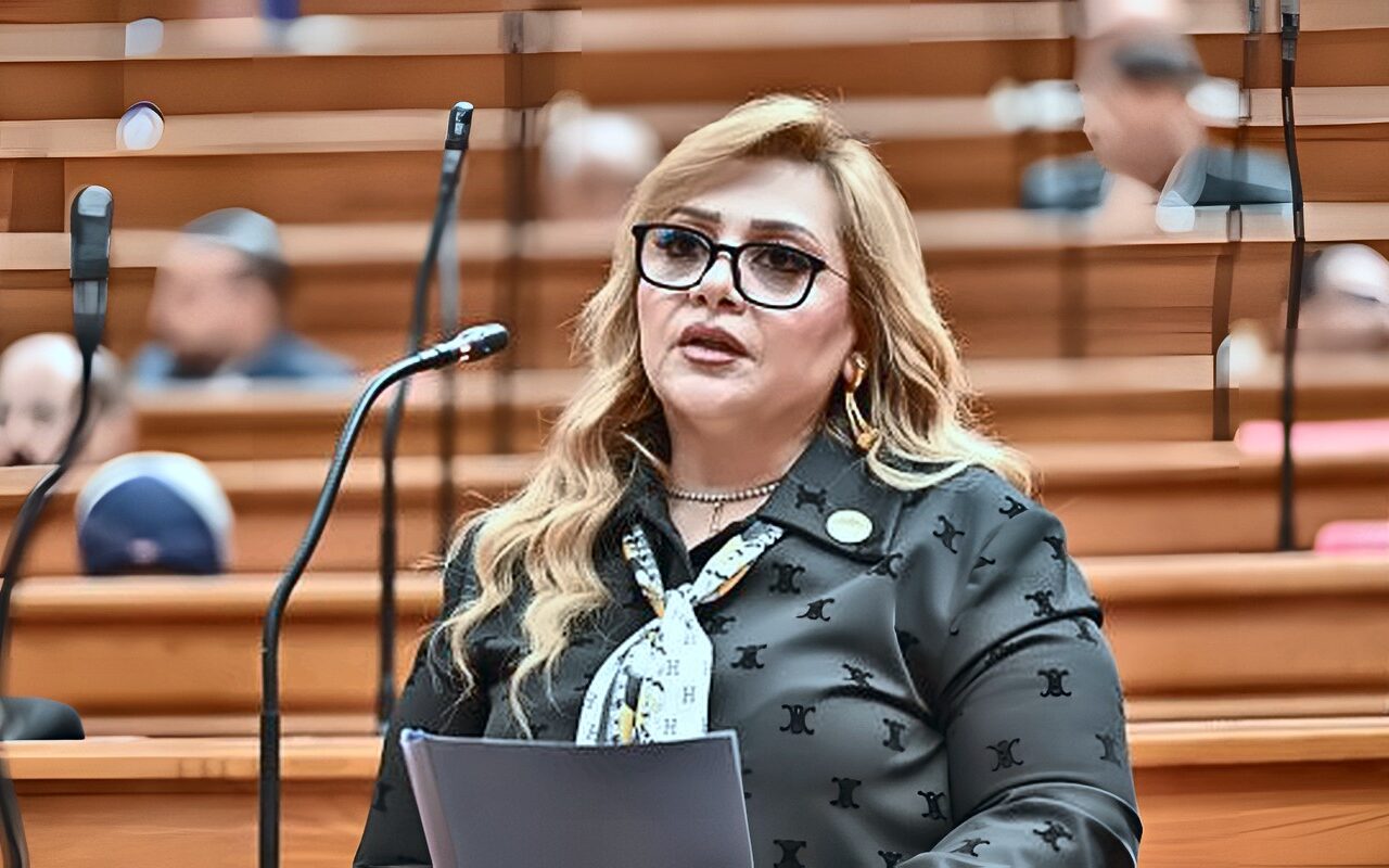 برلمانية: جولة الرئيس السيسي الآسيوية تعزز مكانة مصر دوليًا وتفتح آفاقًا جديدة للاستثمار